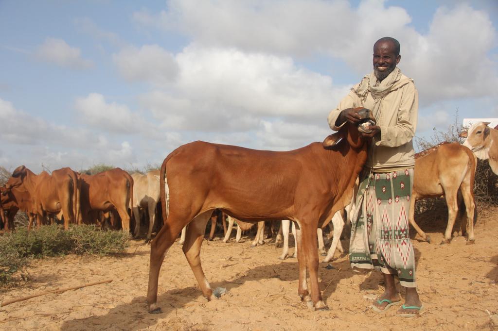 Bir poşet kurban bir dünya mutluluk